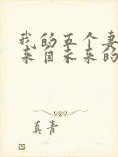 我的五个妻子和来自未来的孩子