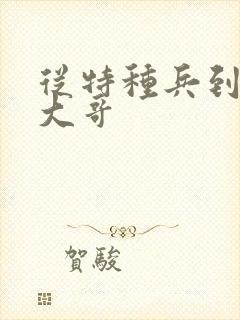 从特种兵到黑道大哥