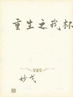 重生之我杯具了