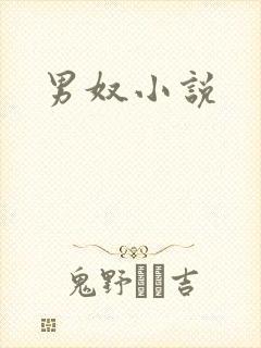 男奴小说