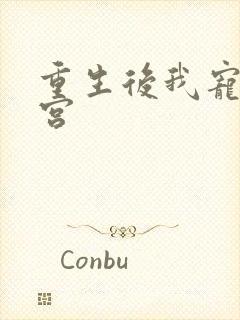 重生后我宠冠东宫