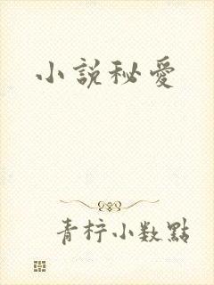 小说秘爱