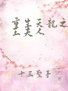 重生天龙之推倒王夫人