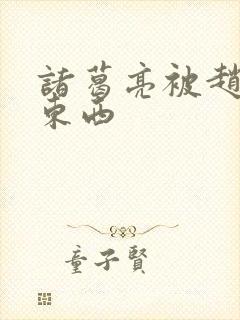 诸葛亮被赵云塞东西