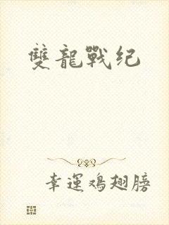 双龙战纪