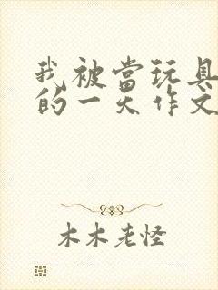 我被当玩具发泄的一天作文