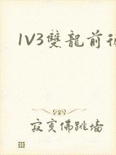 1V3双龙前后