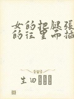 女的把腿张开男的往里面插