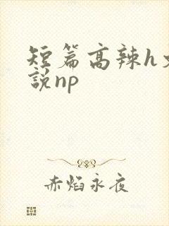 短篇高辣h文小说np