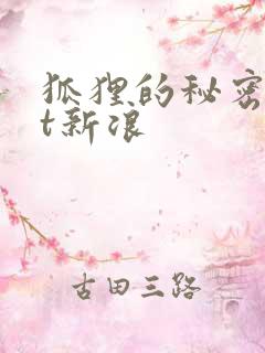 狐狸的秘密txt新浪