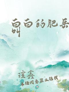 白白的肥岳嗷嗷叫