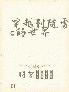 穿越到随处可以c的世界