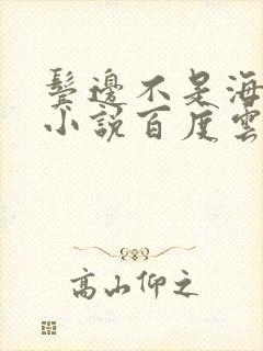 鬓边不是海棠红小说百度云