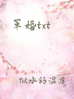 军婚txt