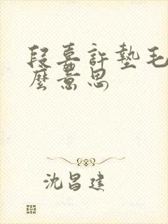 段嘉许垫毛巾什么意思