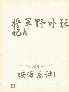 将军野外玩弄贵妃h