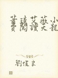 萧琰艾薇小说免费阅读天龙殿