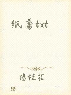 纸鸢txt