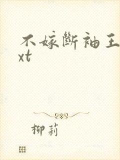 不嫁断袖王爷txt