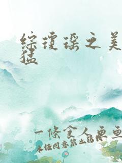 综琼瑶之美人凶猛
