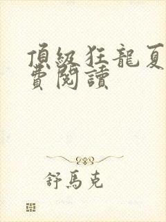 顶级狂龙夏天免费阅读