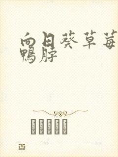 向日葵草莓丝瓜鸭脖