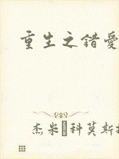 重生之错爱