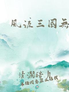 风流三国无弹窗