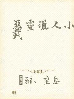 恶灵猎人小说下载