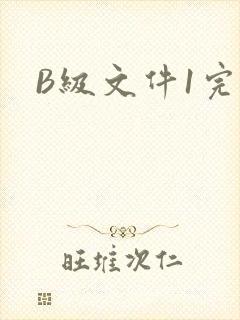 B级文件1完整