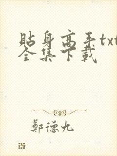 贴身高手txt全集下载