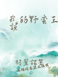 我的野蛮王妃小说
