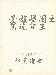 贵族学园之我的黑道公主