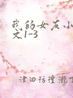 我的女友小洁全文1-3