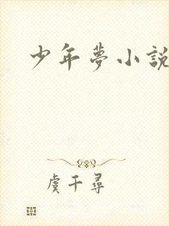少年梦小说