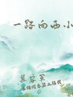 一路向西小说