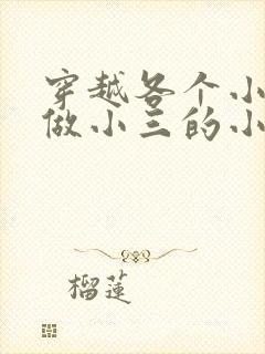 穿越各个小世界做小三的小说