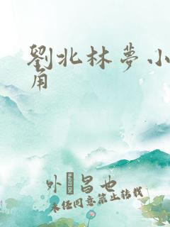 刘北林梦小说主角