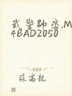 武警帅痞.MP4BAD2050