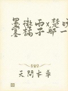 墨微雨x楚晚宁塞橘子哪一章