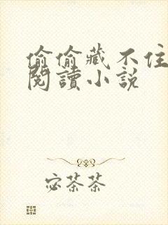 偷偷藏不住免费阅读小说