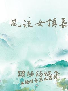 风流女镇长