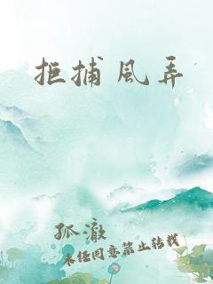 拒捕 风弄