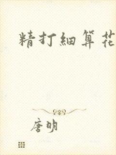 精打细算花满筛
