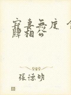 宠妻无度  金牌相公