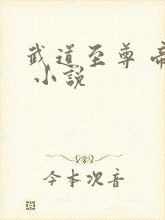 武道至尊 帝临 小说