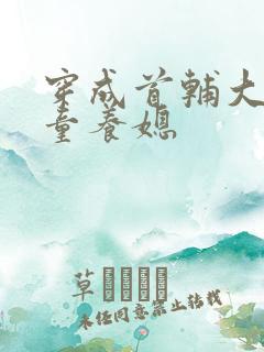 穿成首辅大人的童养媳