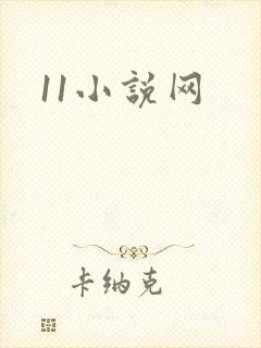 11小说网