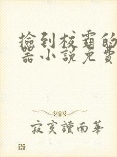 捡到校霸的遥控器小说免费阅读