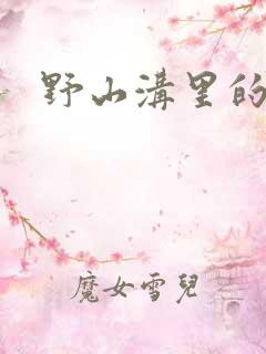 野山沟里的村庄